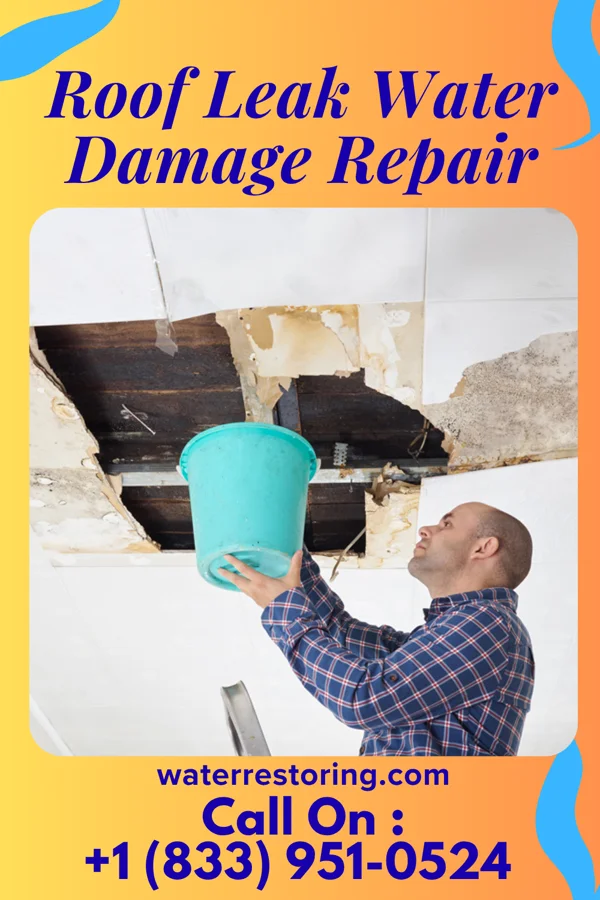 Roof Leak Water Damage Repair in Rhineland, MO